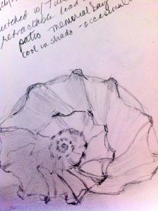 Shell sketch