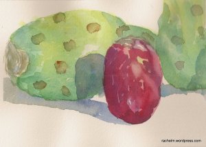 Watercolor of prickly pear fruit and pads
