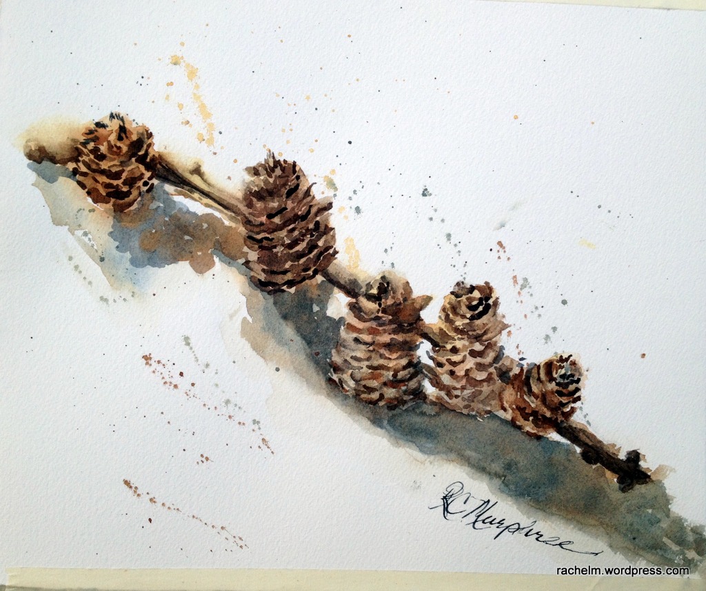Painting of pinecones in watercolor by Rachel Murphree