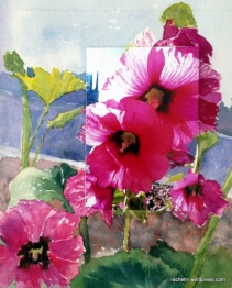 Color photograph of hollyhocks mounted on watercolor paper and painted around