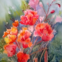 Watercolor painting of red blooms and foliage
